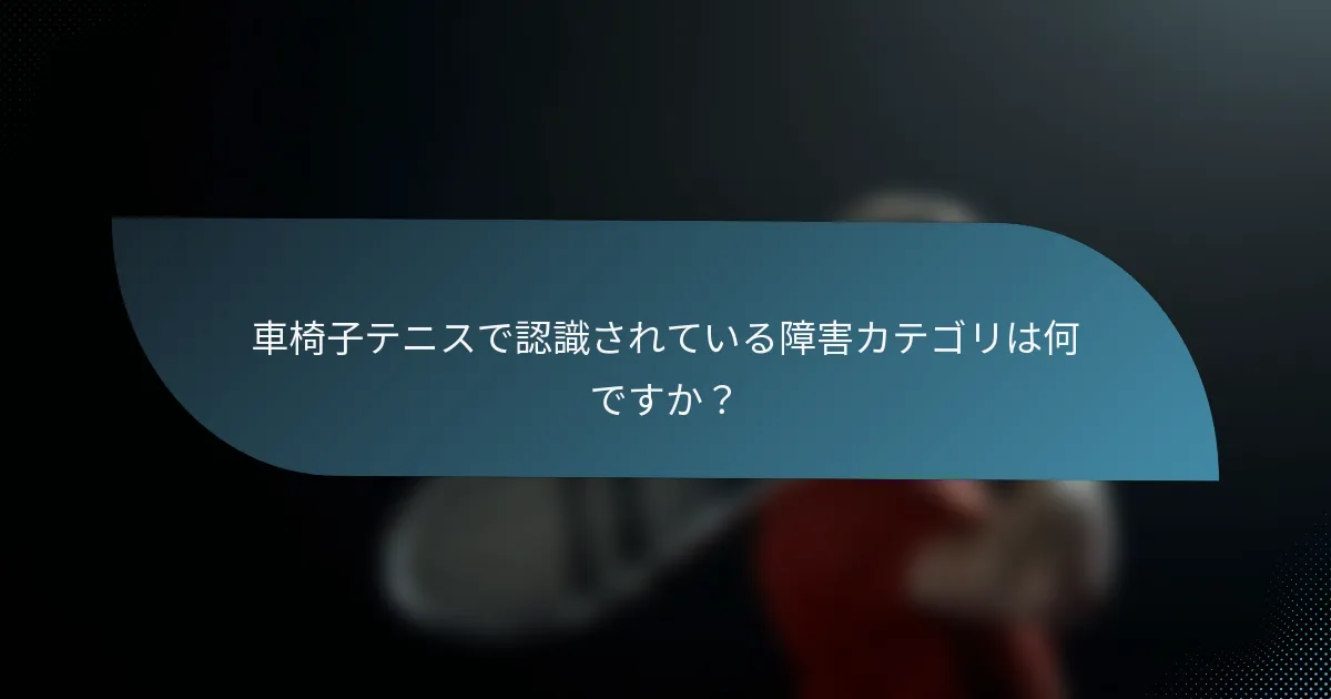 車椅子テニスで認識されている障害カテゴリは何ですか？