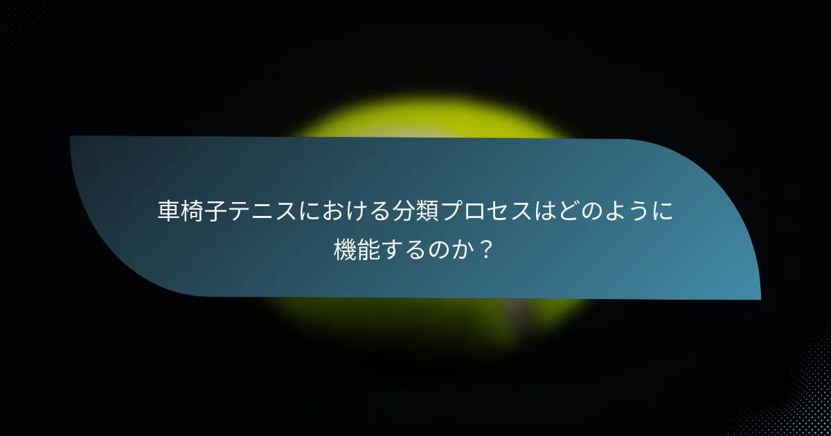 車椅子テニスにおける分類プロセスはどのように機能するのか？
