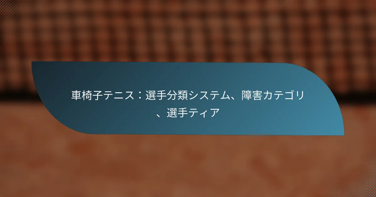 車椅子テニス：選手分類システム、障害カテゴリ、選手ティア