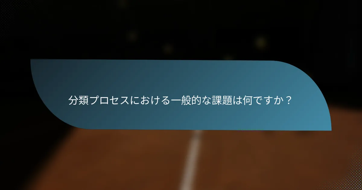 分類プロセスにおける一般的な課題は何ですか？
